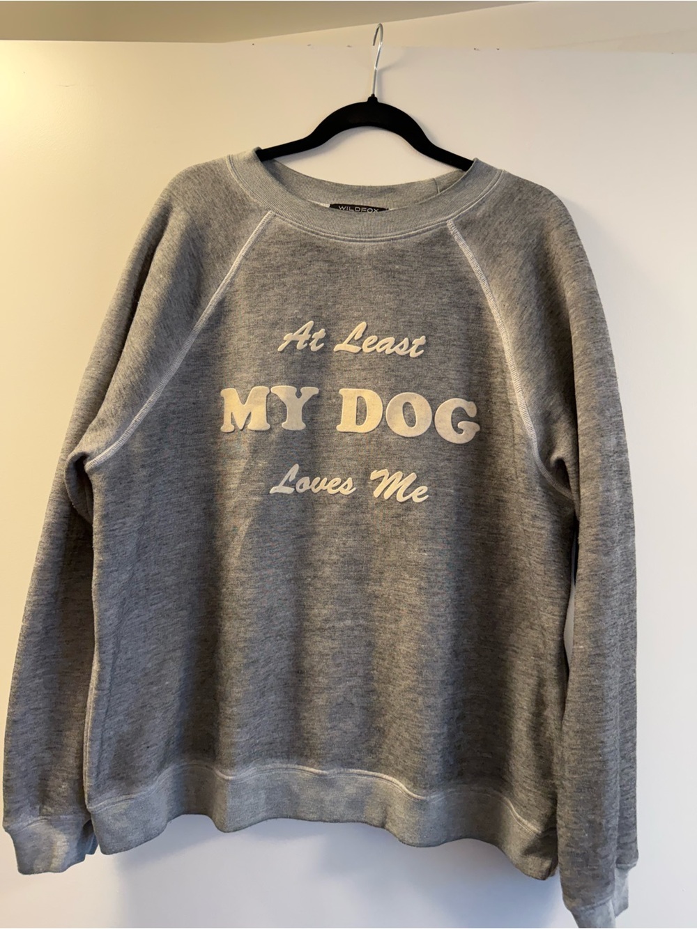 Wildfox Gray 'At Least My Dog Loves Me' Pet Lover Sweatshirt
